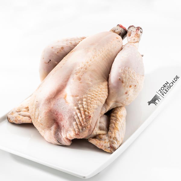 Schwarzfederhuhn 1,5 KG - Vorschau Bild 1