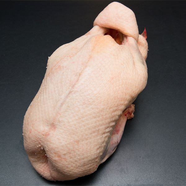 Gans frisch vom Bodensee 3,5 kg